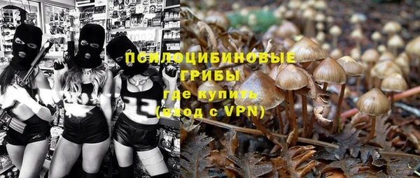 ALPHA PVP Армянск
