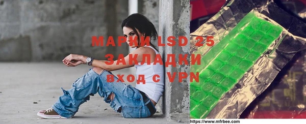 дмт Богданович