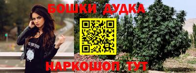 apvp Заволжье