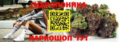 ПСИЛОЦИБИНОВЫЕ ГРИБЫ Заводоуковск