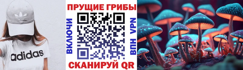 Псилоцибиновые грибы прущие грибы  Миасс 