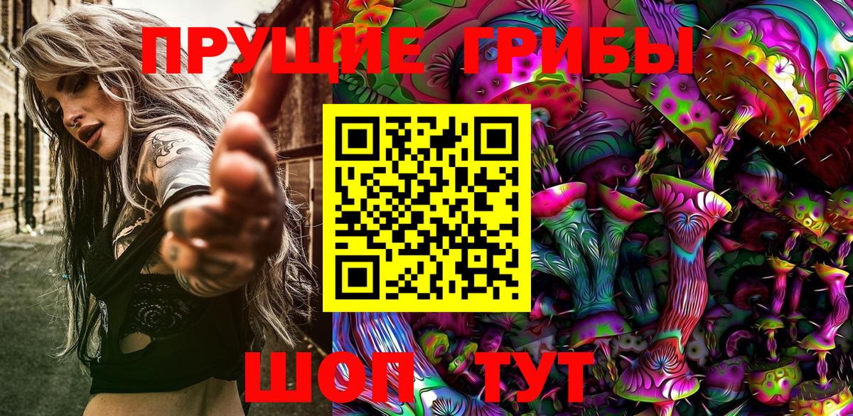 Миасс  Псилоцибиновые грибы GOLDEN TEACHER  Галлюциногенные грибы мицелий  Вход с VPN 